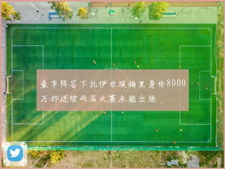 豪华阵容下扎伊尔埃梅里身价8000万却连续两届大赛未能出场