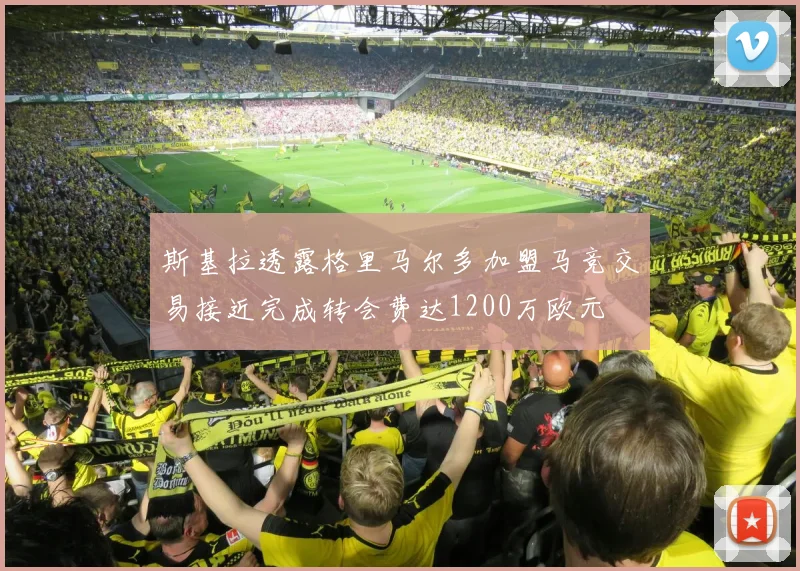 斯基拉透露格里马尔多加盟马竞交易接近完成转会费达1200万欧元