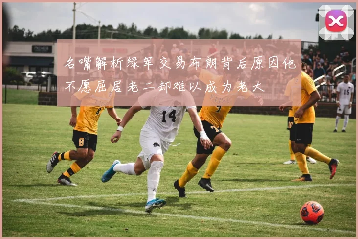 名嘴解析绿军交易布朗背后原因他不愿屈居老二却难以成为老大